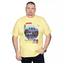Футболка Polo Pepe |#7129|