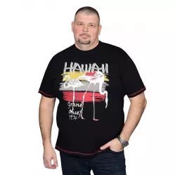 Футболка Polo Pepe |#71322|